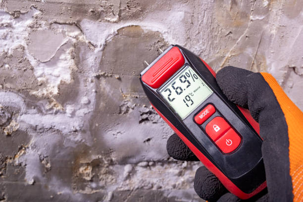 Best Toxic Mold Removal  in Brooklawn, NJ